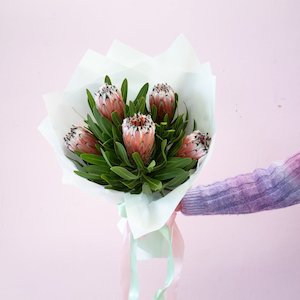 Flower: Proteas For Mum