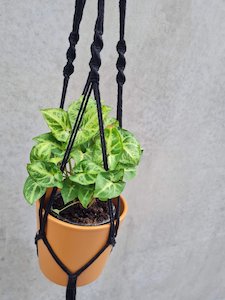 Macrame Hanger