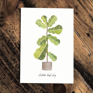 Fiddle leaf Fig - Greeting Card