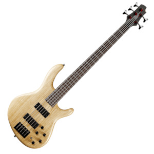 Musical instrument: Cort Action DLX V