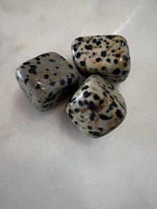 Dalmatian Jasper Tumbler