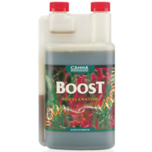 CANNA Boost Accelerator