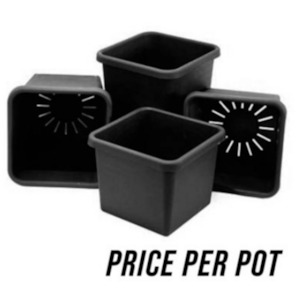 Autopot Watering Systems: Easy2Grow Single Pot - 8.5L