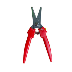 Pruning: Craft Shears