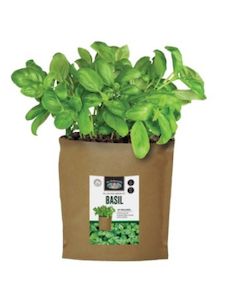 Basil - Grow Pouch Kit