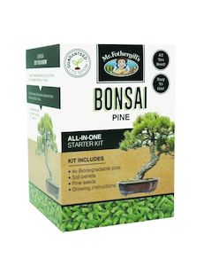 Propagation: Bonsai Starter Kit - Pine