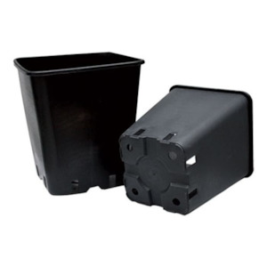 Mediums And Pots: 11ltr Square Plastic Pot