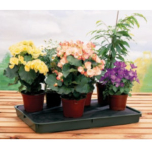 Garland Windowsill Self Watering Plant Tray