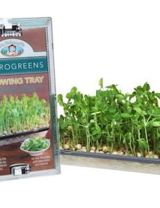 Microgreens Growing Tray