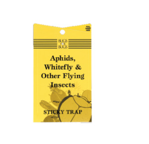 Bugs4Bugs Yellow Sticky Fly Traps