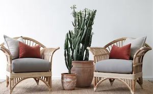 Queenslander Rattan Chair