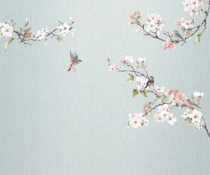 Photo Mural Wallpaper - Apple Blossom