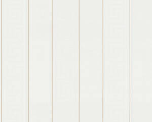 Versace Stripes Wallpaper (Versace 3 Collection) - White