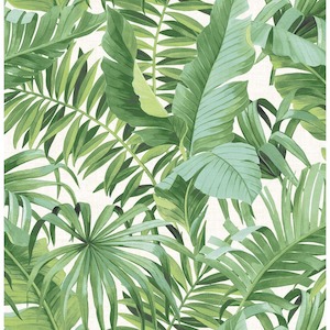 As Creation: Baja Tropical Leaf Wallpaper