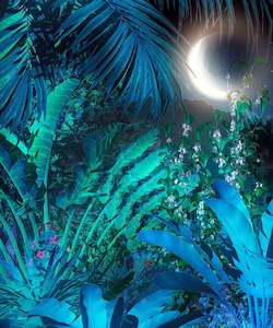 Murals 1: Moonlit Tropics Mural Wallpaper