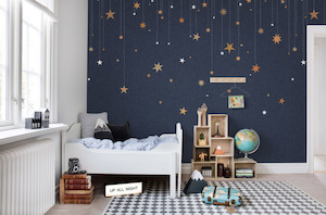 Copper Wallpaper: Stargazing - Mural - 2 Colours