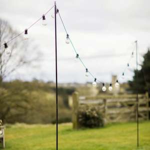 ﻿Festoon pole