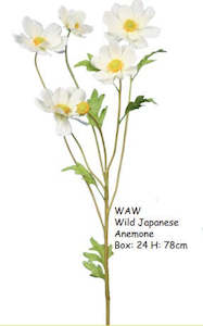 Alison's Acquisitions Wild Japanese Anemone WAW