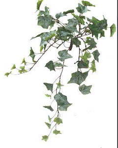 Alison's Acquisitions Trailing Maple Ivy Green