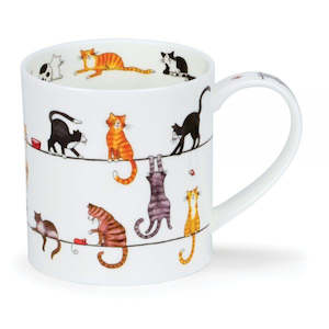 Dunoon Orkney Livewires Cats Mug