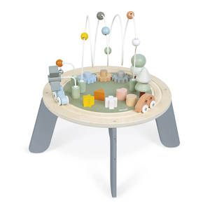 Janod Activity Table