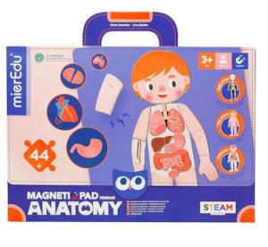 MIEREDU - MAGNECTIC PAD  HUMAN ANATOMY