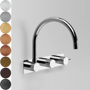 Bathroom and toilet fitting: Astra Walker Icon Gooseneck Wall Set on Backplate Offset