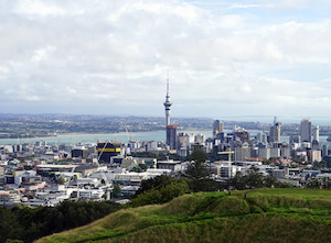 Tour guide service: Auckland Private Tour