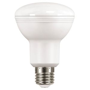 Incandescent: R80 Lamp 40w E27