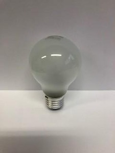 Incandescent: 110V 100 watt E27 Base Incandescent Gls  Lamp Pearl Finish