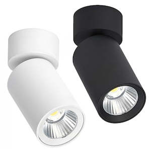 Silo LED Downlight / Spotlight 10w in Black or White