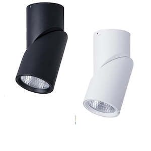 Nella LED Downlight Rotatable 18w in Black or White Havit Lighting - HV5824T