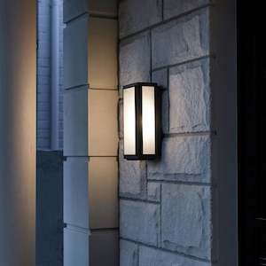 Lille Outdoor Wall Light Medium 1Lt Old Bronze in Clear or Frosted Glass