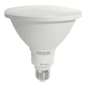 Globes Light Bulbs: 12w LED E27 Par38 Globe CCT LPAR38TC