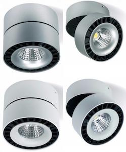 Surface Downlight Silver or White Tiltable Superlux Lighting - SCD25-TLT