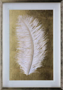 White Feather Shadow Box