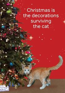 CATH TATE CARDS -  The Cat - Christmas Card