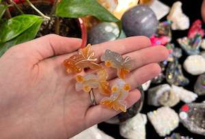 Carnelian Goldfish