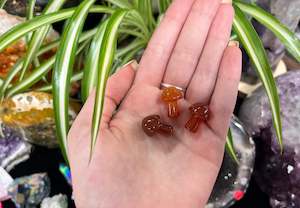 Figures: Carnelian Mushroom