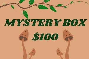 Mystery Box $100