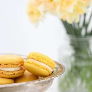 Lemon Macarons 12 Pack with Ray White Box