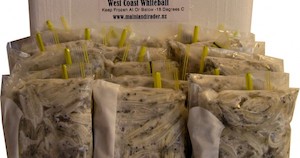 16 x 250gm West Coast Whitebait - 4kg