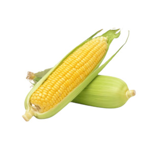 Sweet Corn