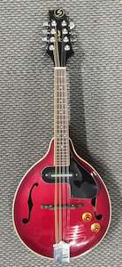 Mondolins: Samick - Greg Bennett Mandolin - Second hand