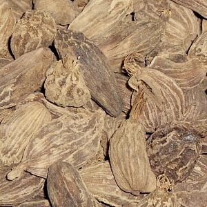 Cardamom – Whole Black, jar