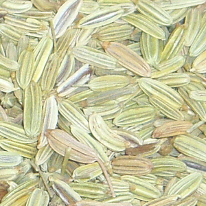 Fennel – Seeds, jar