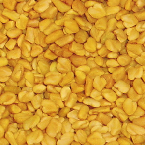 Fenugreek – Seeds