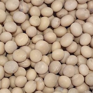 Soya Beans NZ