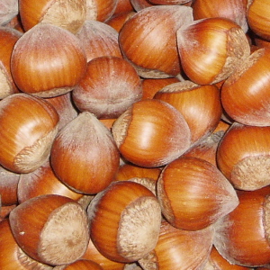 Hazelnuts – In Shell, NZ 1kg