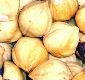 Hazelnuts – Toasted Blanched, NZ